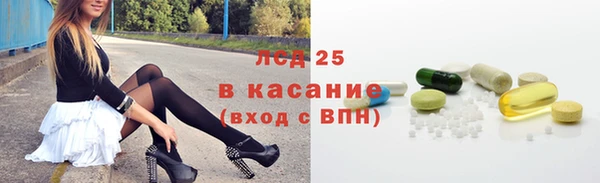 прущие грибы Бугульма