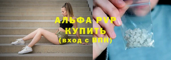 прущие грибы Бугульма