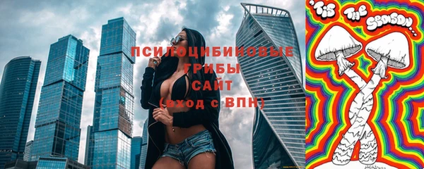спайс Бородино
