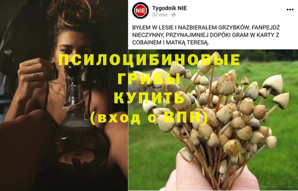 спайс Бородино